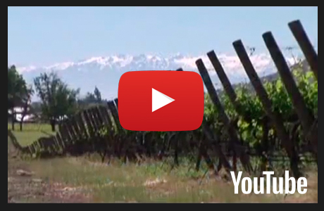 Oem Wines - Private label wines