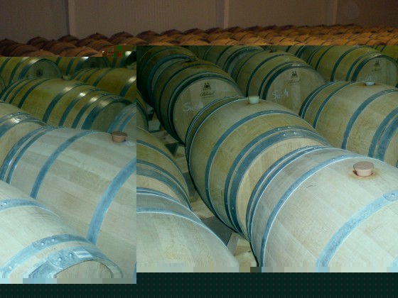 Fermentación vino chileno