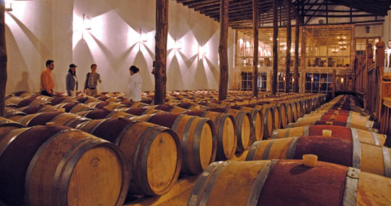 chilean bulk wines